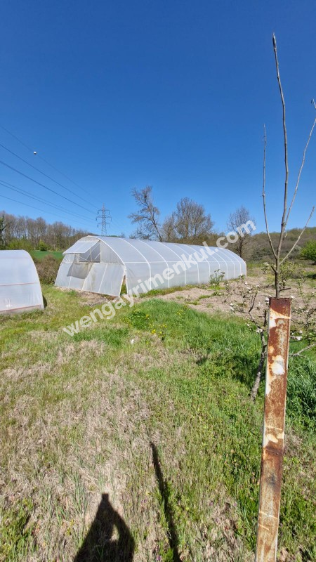 SATILIK 4+1 ÇİFTLİK EVİ + 300 m2 ÇELİK KONSTRÜKSİYON  ÇADIR + 2 ADET SERA 