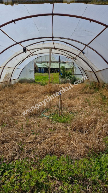 SATILIK 4+1 ÇİFTLİK EVİ + 300 m2 ÇELİK KONSTRÜKSİYON  ÇADIR + 2 ADET SERA 