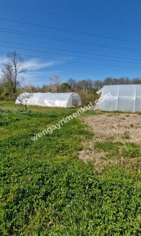 SATILIK 4+1 ÇİFTLİK EVİ + 300 m2 ÇELİK KONSTRÜKSİYON  ÇADIR + 2 ADET SERA 