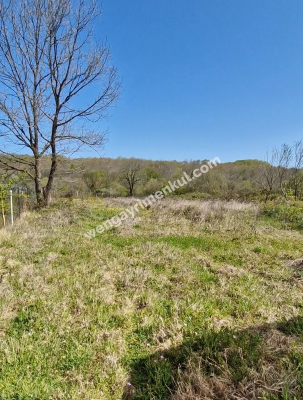 SATILIK 4+1 ÇİFTLİK EVİ + 300 m2 ÇELİK KONSTRÜKSİYON  ÇADIR + 2 ADET SERA 