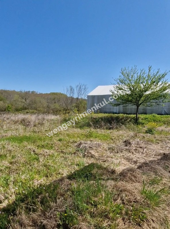 SATILIK 4+1 ÇİFTLİK EVİ + 300 m2 ÇELİK KONSTRÜKSİYON  ÇADIR + 2 ADET SERA 