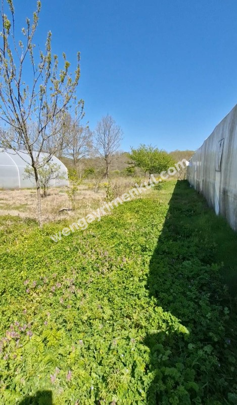 SATILIK 4+1 ÇİFTLİK EVİ + 300 m2 ÇELİK KONSTRÜKSİYON  ÇADIR + 2 ADET SERA 