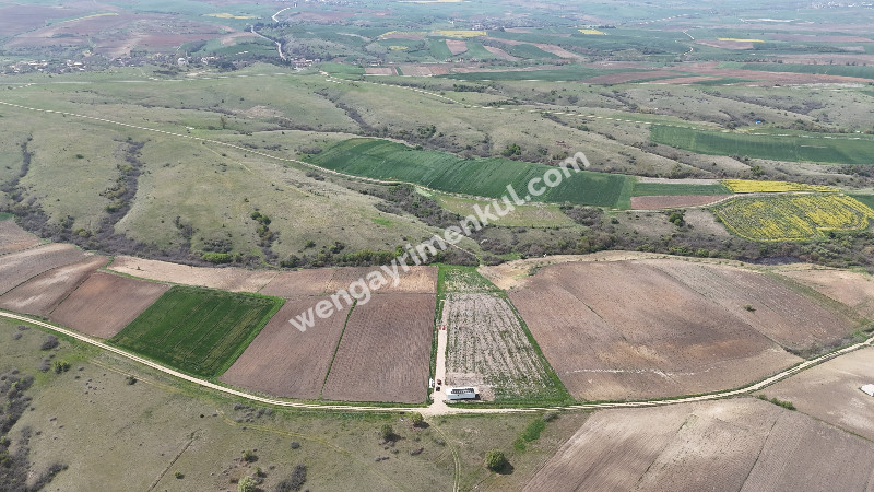 10.967 m² Çiftlik İmarlı Tarla. İster Kupon deyin İster Banko, yakından görmeniz gereken bir arazi!