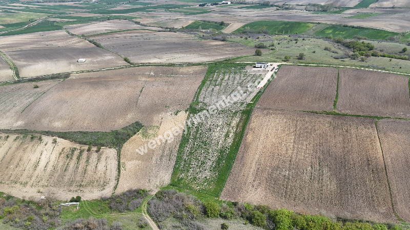 10.967 m² Çiftlik İmarlı Tarla. İster Kupon deyin İster Banko, yakından görmeniz gereken bir arazi!