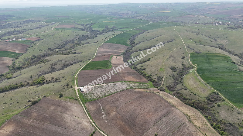 10.967 m² Çiftlik İmarlı Tarla. İster Kupon deyin İster Banko, yakından görmeniz gereken bir arazi!