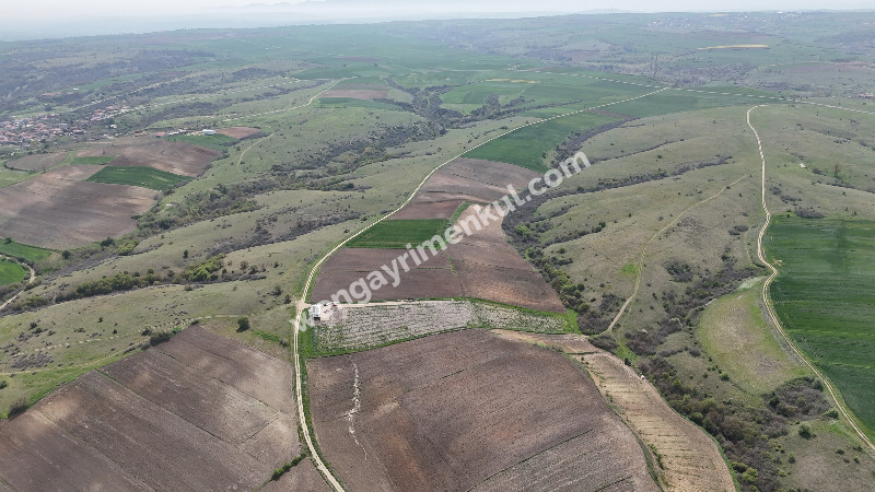 10.967 m² Çiftlik İmarlı Tarla. İster Kupon deyin İster Banko, yakından görmeniz gereken bir arazi!