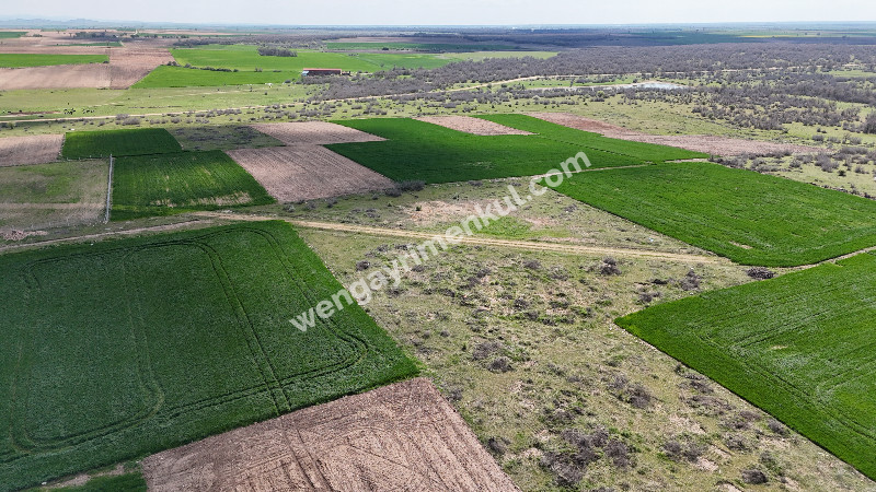 2.473 m2 KÖYE YAKIN SATILIK TARLA