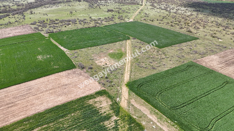 2.473 m2 KÖYE YAKIN SATILIK TARLA