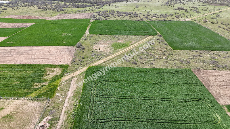 2.473 m2 KÖYE YAKIN SATILIK TARLA