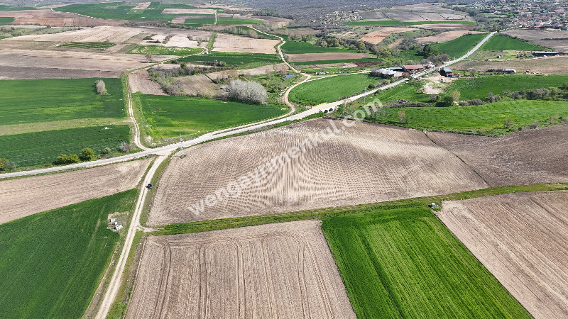 23.527 M² TEK TAPU YERLEŞİME YAKIN ASFALT ÜZER FIRSAT TARLA
