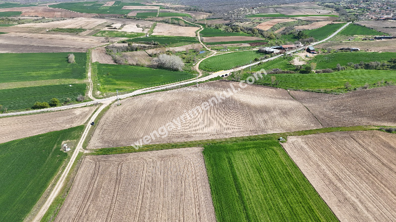 23.527 M² TEK TAPU YERLEŞİME YAKIN ASFALT ÜZER FIRSAT TARLA