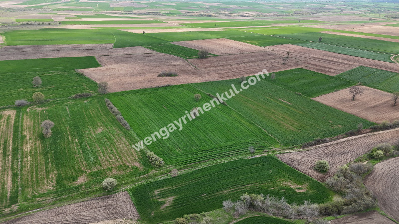 9.501 m² Çiftlik İmarlı Fırsat Tarla Kırklareli’nde Bu fiyata Böylesi Başka Yerde Yok.