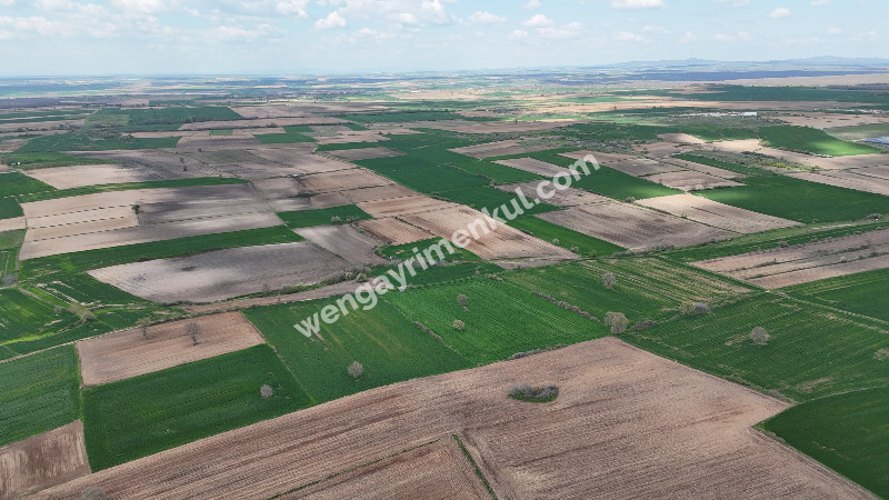 9.501 m² Çiftlik İmarlı Fırsat Tarla Kırklareli’nde Bu fiyata Böylesi Başka Yerde Yok.