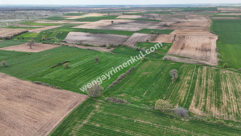 9.501 m² Çiftlik İmarlı Fırsat Tarla Kırklareli’nde Bu fiyata Böylesi Başka Yerde Yok.