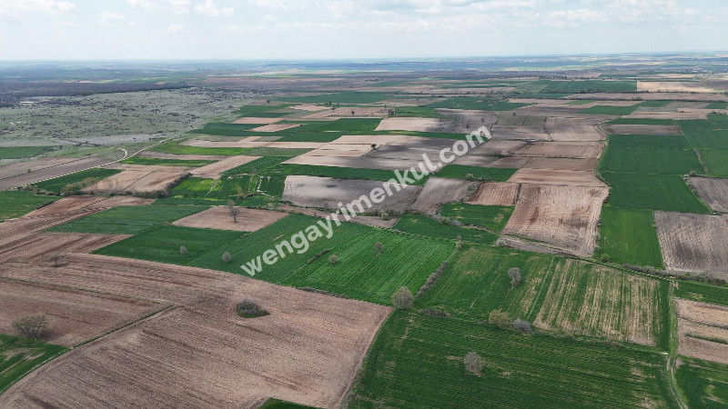 9.501 m² Çiftlik İmarlı Fırsat Tarla Kırklareli’nde Bu fiyata Böylesi Başka Yerde Yok.