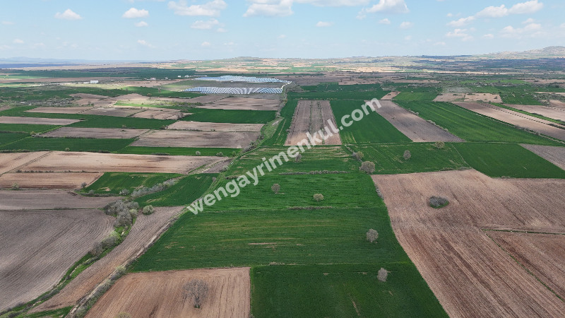 9.501 m² Çiftlik İmarlı Fırsat Tarla Kırklareli’nde Bu fiyata Böylesi Başka Yerde Yok.