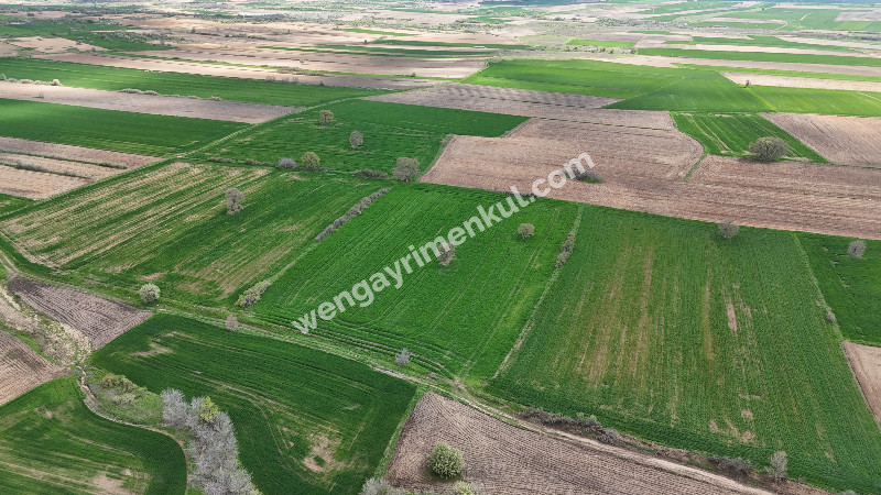 9.501 m² Çiftlik İmarlı Fırsat Tarla Kırklareli’nde Bu fiyata Böylesi Başka Yerde Yok.