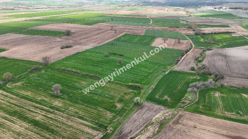 9.501 m² Çiftlik İmarlı Fırsat Tarla Kırklareli’nde Bu fiyata Böylesi Başka Yerde Yok.