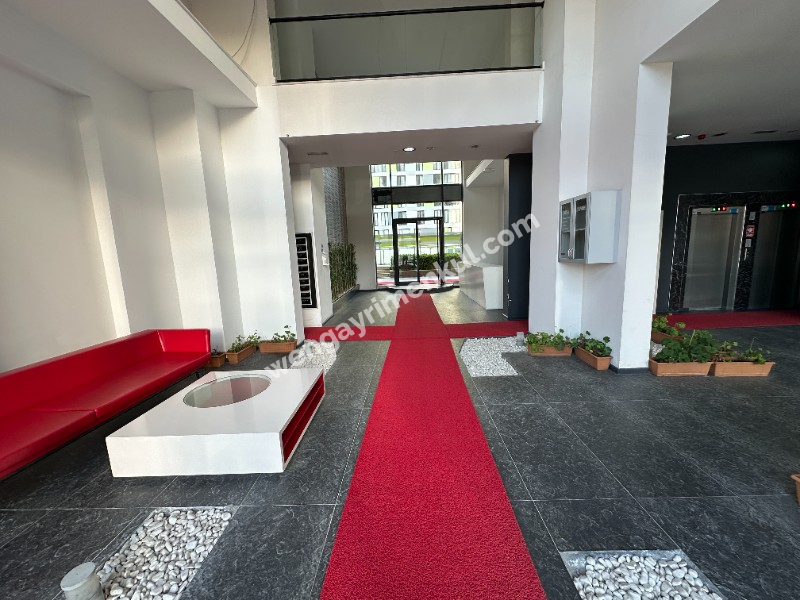 SARİSSA'da_Tek Yetkili_MEBRUR'dan_BOŞ_Oturuma Hazır_1+1_71 m²