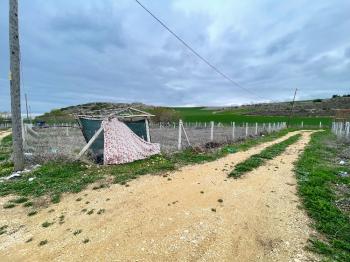 Güvenay - Çorum Yeni Osmancık Yolu Üzeri Köşe Başı Satılık Hobi Bahçesi 