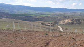 125,000 TL PEŞİN, AYDA 10,000 TL TAKSİT İLE BAHÇE SAHİBİ OLUN !