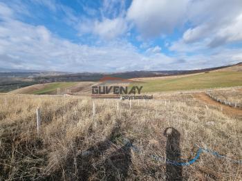 ACİL SATILIK GÜVENAY ÇORUM MERKEZ SERPİN KÖYÜ İLERİSİ SATILIK HOBİ BAHÇESİ