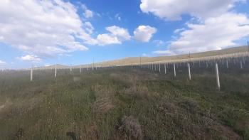 GÜVENAY - ÇORUM ESKİ OSMANCIK YOLU ÜZERİ SARMAŞA MEVKİİ SATILIK HOBİ BAHÇE 