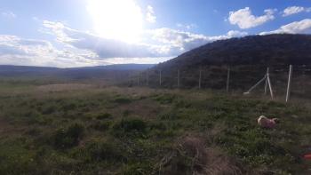 GÜVENAY - ÇORUM ESKİ OSMANCIK YOLU ÜZERİ SARMAŞA MEVKİİ SATILIK HOBİ BAHÇE 