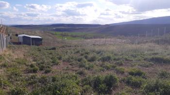 GÜVENAY - ÇORUM ESKİ OSMANCIK YOLU ÜZERİ SARMAŞA MEVKİİ SATILIK HOBİ BAHÇE 