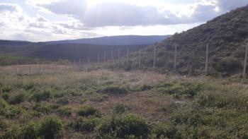 GÜVENAY - ÇORUM ESKİ OSMANCIK YOLU ÜZERİ SARMAŞA MEVKİİ SATILIK HOBİ BAHÇE 