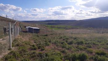 GÜVENAY - ÇORUM ESKİ OSMANCIK YOLU ÜZERİ SARMAŞA MEVKİİ SATILIK HOBİ BAHÇE 