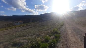 GÜVENAY - ÇORUM YENİ OSMANCIK YOLU YANI SATILIK BAHÇE