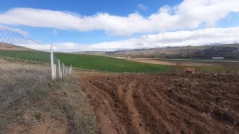 GÜVENAY - ÇORUM YENİ OSMANCIK YOLU YANI 600 M2  SATILIK HOBİ BAHÇESİ