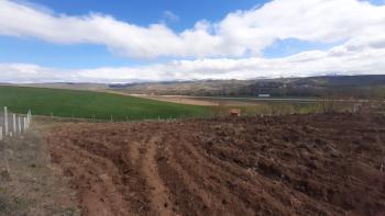 GÜVENAY - ÇORUM YENİ OSMANCIK YOLU YANI 600 M2  SATILIK HOBİ BAHÇESİ