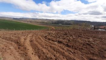 GÜVENAY - ÇORUM YENİ OSMANCIK YOLU YANI 600 M2  SATILIK HOBİ BAHÇESİ