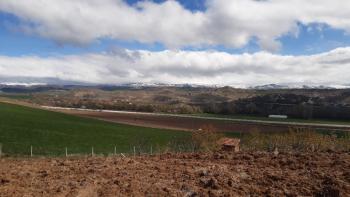 GÜVENAY - ÇORUM YENİ OSMANCIK YOLU YANI 600 M2  SATILIK HOBİ BAHÇESİ