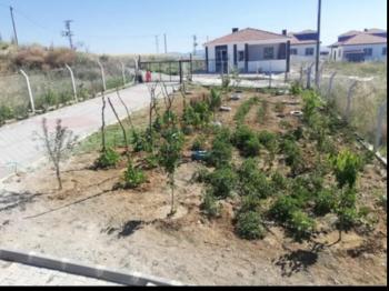 GÜVENAY - ÇORUM KAZIKLIKAYA MEVKİ 500 M² SATILIK EVİ OLAN HOBİ BAHÇESİ