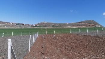 Güvenay - Çorum Yeni Osmancık Yolu Üzeri Satılık Hobi Bahçesi 