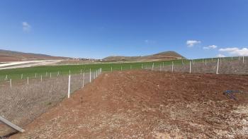 Güvenay - Çorum Yeni Osmancık Yolu Üzeri Satılık Hobi Bahçesi 