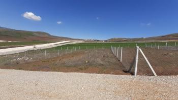 Güvenay - Çorum Yeni Osmancık Yolu Üzeri Satılık Hobi Bahçesi 