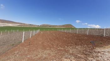 Güvenay - Çorum Yeni Osmancık Yolu Üzeri Satılık Hobi Bahçesi 