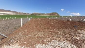 Güvenay - Çorum Yeni Osmancık Yolu Üzeri Satılık Hobi Bahçesi 