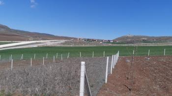 Güvenay - Çorum Yeni Osmancık Yolu Üzeri Satılık Hobi Bahçesi 