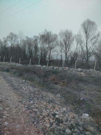 GÜVENAY - ÇORUM ALACA KAVŞAĞI İLERİSİ TARHAN CİVARINDA 8 DÖNÜM ÇİFTLİK