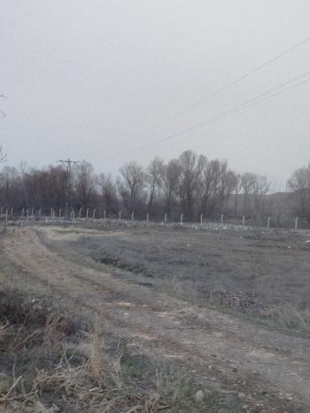 GÜVENAY - ÇORUM ALACA KAVŞAĞI İLERİSİ TARHAN CİVARINDA 8 DÖNÜM ÇİFTLİK