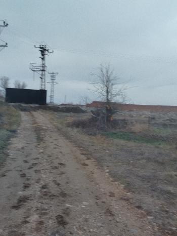 GÜVENAY - ÇORUM ALACA KAVŞAĞI İLERİSİ TARHAN CİVARINDA 8 DÖNÜM ÇİFTLİK