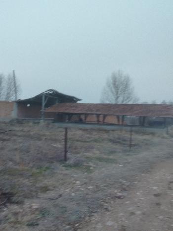 GÜVENAY - ÇORUM ALACA KAVŞAĞI İLERİSİ TARHAN CİVARINDA 8 DÖNÜM ÇİFTLİK