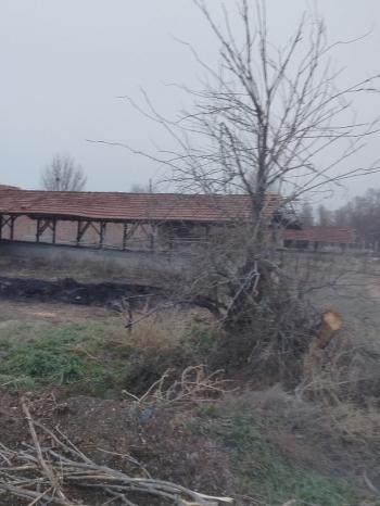 GÜVENAY - ÇORUM ALACA KAVŞAĞI İLERİSİ TARHAN CİVARINDA 8 DÖNÜM ÇİFTLİK