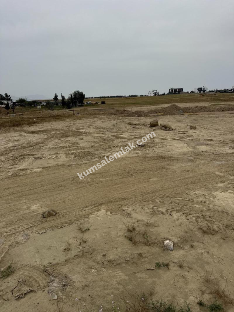  ALAYKÖY DE 65.000 STG den BAŞLAYAN SATILIK ARSALAR
