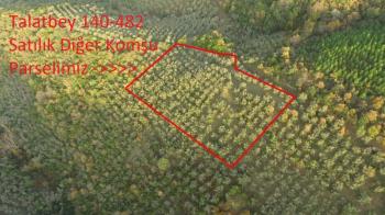 EMLAK HABERCİSİ 'NDEN MUDANYA TALATBEY'DE KETENDERE TARAFINA CEPHE FULL DENİZ MANZARALI SATILIK 2 DÖNÜM ZEYTİNLİK